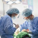 고운치과교정과치과의원 이미지