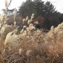 바람결-시간의 흐름 이미지