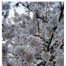 불광주유소 | 결혼 시기 고민 해결 은평구점집 용정암 솔직 후기