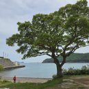 진도여라 이미지