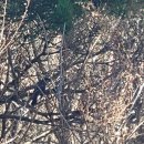 금강어린이공원 이미지