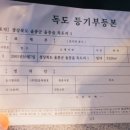 독도리 이미지