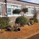 동강중학교 이미지