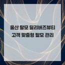 딜리버즈뷰티