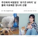 유기견 유기묘 등을 위해 활동하고 입양하는 연예인들 이미지