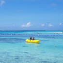 덕이도서관 교양교실 이미지