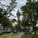 댕댕이 펫카 | 속초 반려견동반 숙소 저렴하고 괜찮은 곳