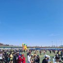 평지 | 성주참외마라톤 후기 : 평지따윈 없지만 내년에 또 오고 싶다