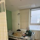 베스트수병원 | 동탄 베스트 아이들 병원 1인실 입원 후기(놀이방, 휴게시설)