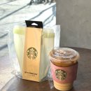 거꾸로푸드 | 스타벅스 실리콘 푸드백 락앤락 지퍼백 스위트밀크커피 세트