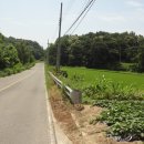 의곡1리 이미지