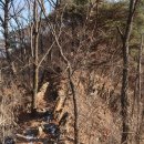 안평지맥1구간2 이미지