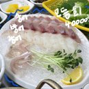 목포두꺼비