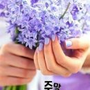 토요일 이미지