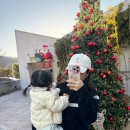 신원목장 | 구미 베이커리 카페 오드커피 :: 20개월 아이랑 방문 후기 및 두쫀쿠