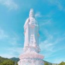 서라벌여행사 이미지