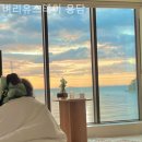 벼리유스테이 용담 이미지