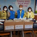싱싱야채