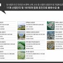 스타플렉스 이미지