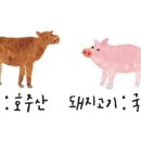 돈카츠.우동.돼랑이우랑이 이미지