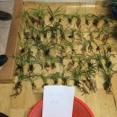 장교농장 이미지