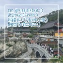 동백섬의 일출 | 광안대교(드라이브) | 해동용궁사(기장바다사찰) | 동백섬(야경산책코스) | 내돈내산 솔직후기