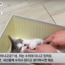 진실목장 이미지