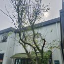 달이예쁘다