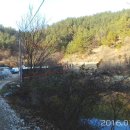 홍정농장 이미지