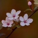 효성노인건강센터 | 안나노인건강센터 부산 서구 요양원
