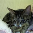 만덕2동-6 이미지