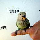 작은 동물원 이미지