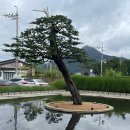 밀 (mll) 이미지