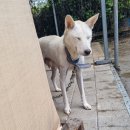 숲속해뜰유치원 | [고무칩 탄성포장] 군포시 숲속해뜰유치원 옥상 시공 | (주)청와