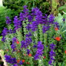 나눔허브 이미지