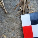 북면317 | 강원 영월 야외지질조사