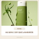 삽 | 드라이기 고데기 전 필수템! 바삽 글라이신 노워시트리트먼트 사용 후기~!!