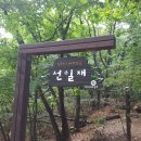 파주/양주 감악산(675m) 이미지