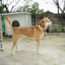 성웅 카카오 검색결과