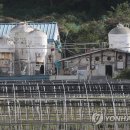 파주새희망방역