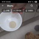 꼬숩당개 이미지