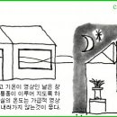 한국춘란 겨울철 일일 일기변화에 따른 관리/01(월계난821) 이미지