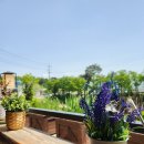 교룡커피 이미지