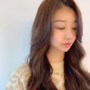 마이수플레르