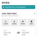 해바라기 애견 이미지