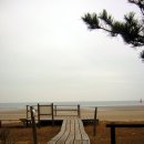 안면도바다풍경 이미지