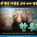 서울이수초등학교 이미지