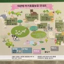 외할머니가 5관 | 아이랑 강릉여행_대관령아기동물농장 후기(1일차)