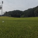 모나크cc 이미지