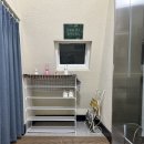 신체자각을 통한 자기조절과 치유를 위한 비니요가 | 대치동 요가 로사 웰니스 트레이닝센터 빈야사(유산소)수업